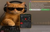 Mobil DJ Yayını ile Radyo Yayınına Tek Tıkla Bağlanın – 2 Saniyede MP3 İndirin, Anında Yayınlayın!